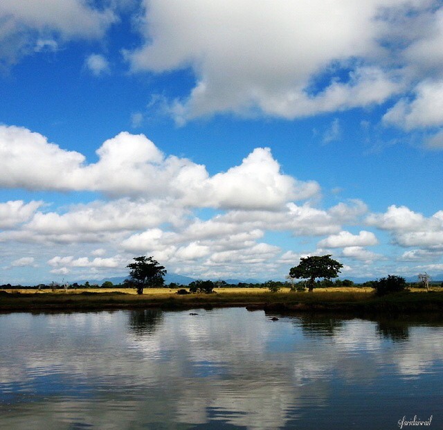 Mikumi national park