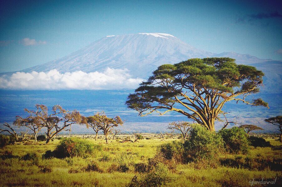 Killimanjaro mountain