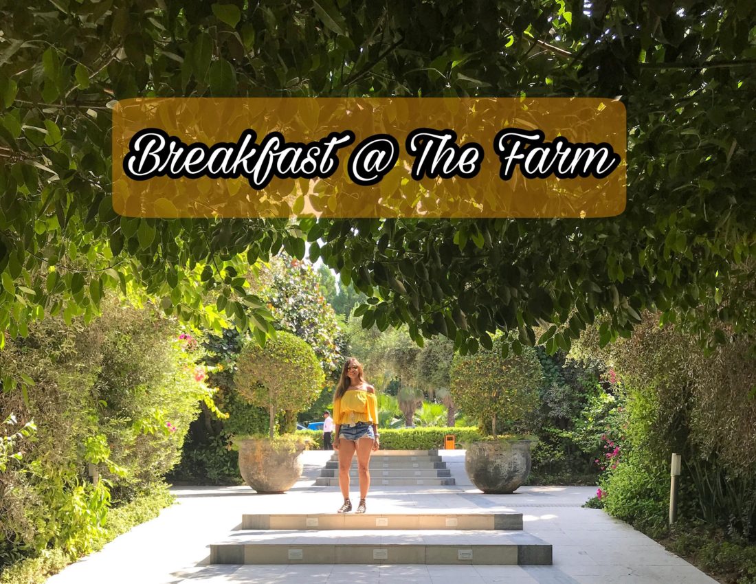 Dine in Dubai: Breakfast At The farm Al-Barari