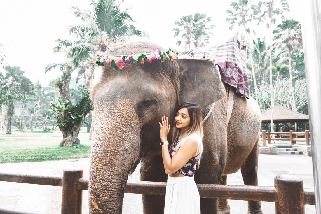 Mason Elephant lodge Bali _ A Luxurious stay with Elephants